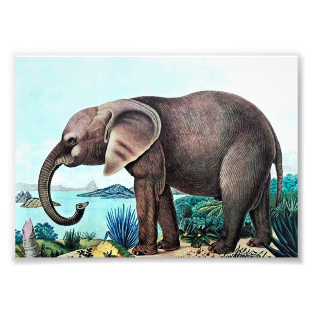African Elephant Vintage Painting Photo Print (Front)