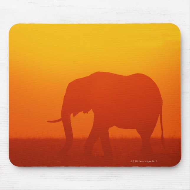 African elephant walking at sunset , Kenya Mouse Pad (Front)