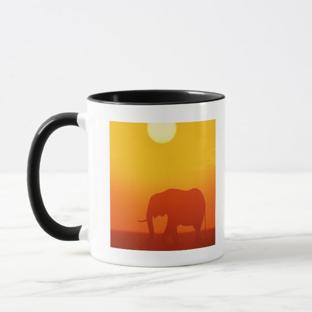 African elephant walking at sunset , Kenya Mug (Left)