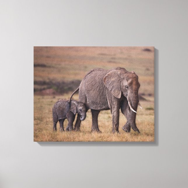 African Elephant with Baby Canvas Print (Front)