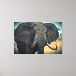 African Elephant Wrapped Canvas
