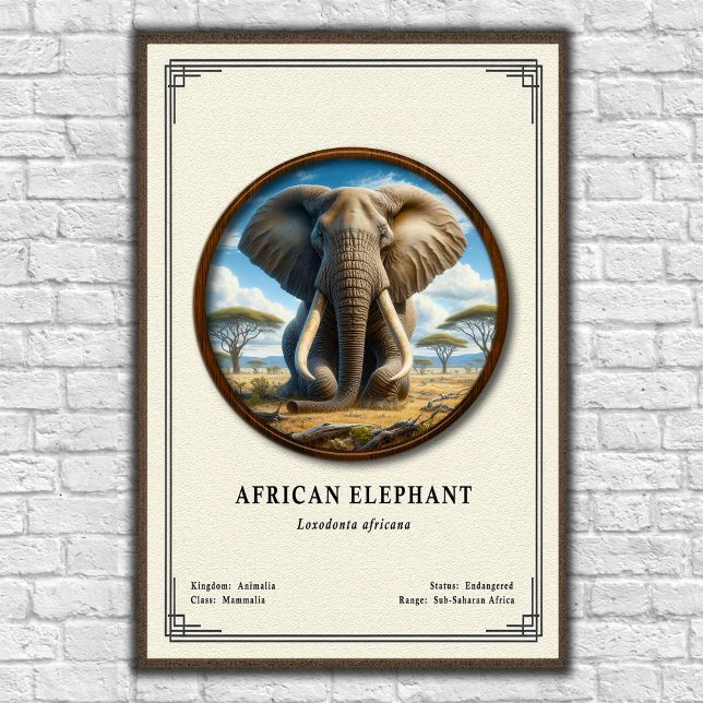 African Elephant Zoology Series Poster (Creator Uploaded)
