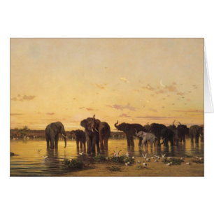 African Elephants