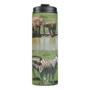 African Elephants and Zebras Tumbler