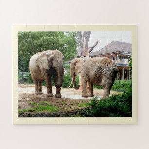 African elephants animals jigsaw puzzle