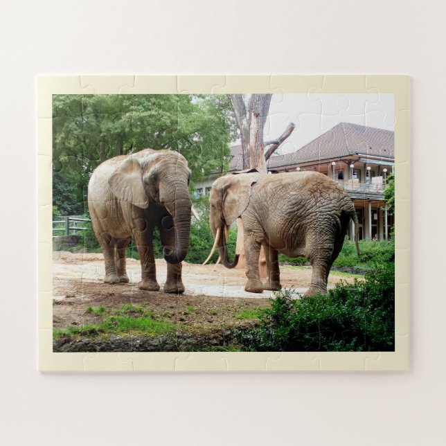 African elephants animals jigsaw puzzle (Horizontal)