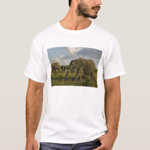 African Elephants grazing, Loxodonta africana, T-Shirt