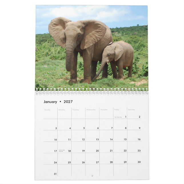 African Elephants in Addo Calendar (Jan 2027)