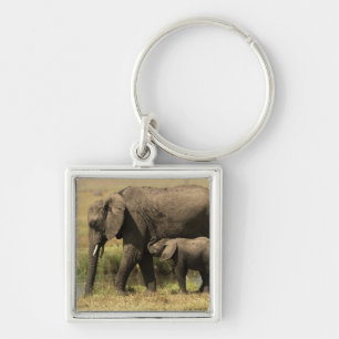 African Elephants Key Ring