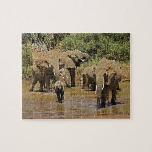 African Elephants, Loxodonta Africana, Samburu Jigsaw Puzzle