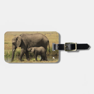 African Elephants Luggage Tag