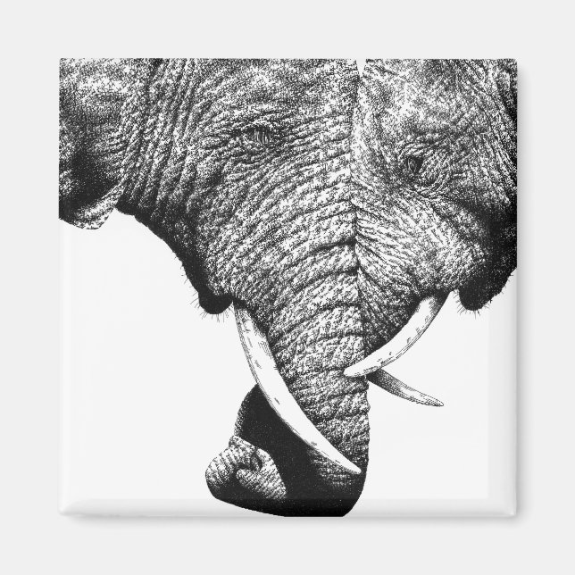 African Elephants Magnet (Front)