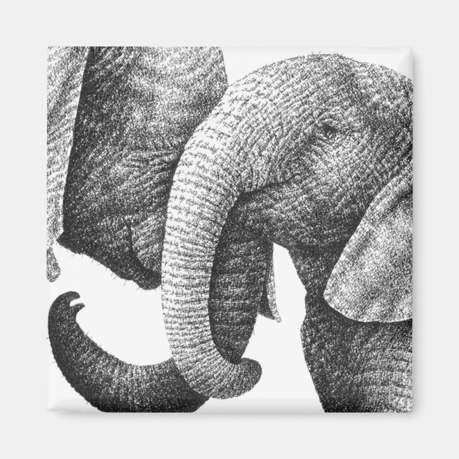 African Elephants Magnet (Front)