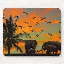African Elephants