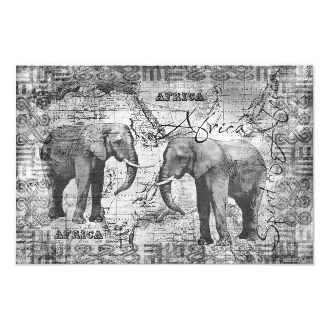 African Elephants Photo Print (Front)