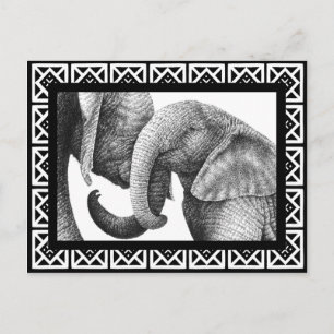 African Elephants Postcard