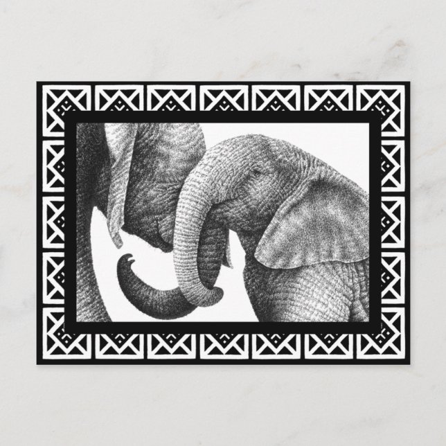 African Elephants Postcard (Front)