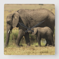 African Elephants