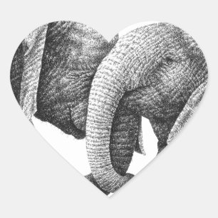 African Elephants Sticker