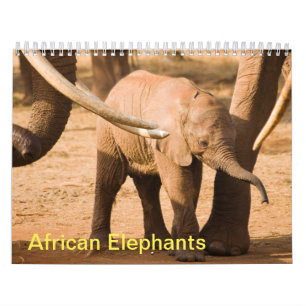 African Elephants Wall Calendar