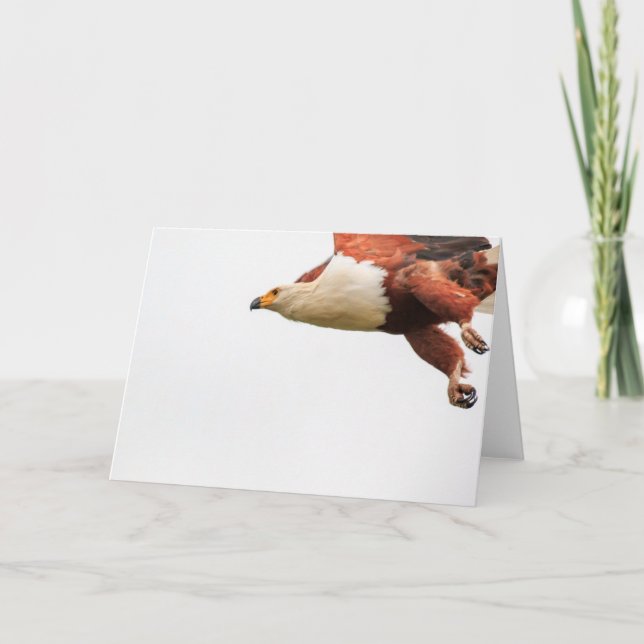 African Fish Eagle in flight Holiday Card (Front)