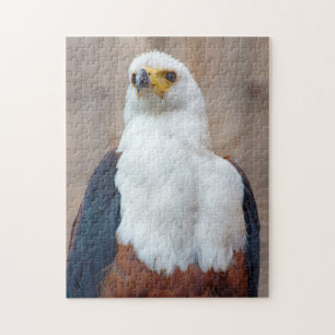 African Fish Eagle Jigsaw puzzle