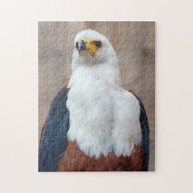 African Fish Eagle Jigsaw puzzle (Vertical)