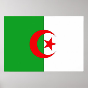 African Flag Poster