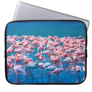 African flamingos. Group of flamingos stand in the Laptop Sleeve