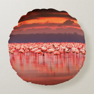 African flamingos in the lake over beautiful sunse round cushion