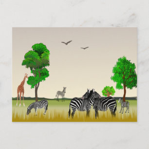 African game reserve postcard