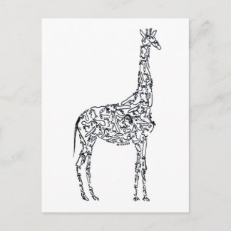 AFRICAN GIRAFFE by NICHOLAS Postcard