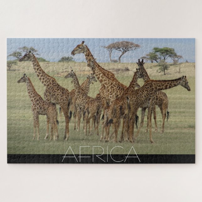 african giraffes jigsaw puzzle (Horizontal)