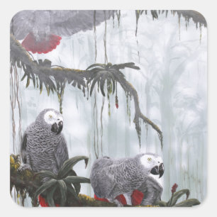 African Gray Parrots flying free Square Sticker