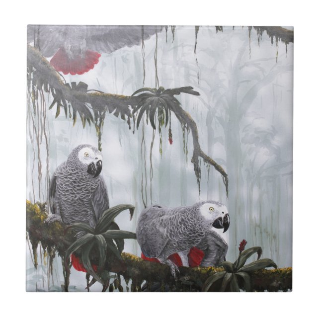 African Gray Parrots flying free Tile (Front)