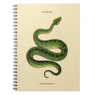 African Green Snake Notebook