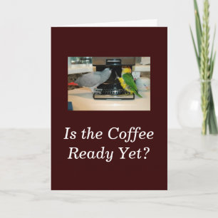 African Grey & Caique Parrot Coffee Friends Card