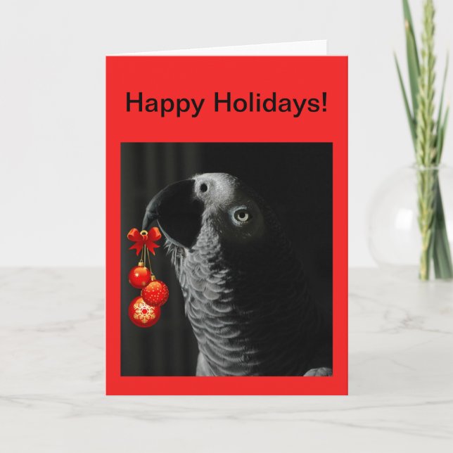 African Grey Christmas Holiday Greeting Card (Front)