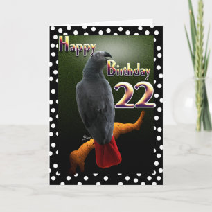 African Grey Congo parrot polka dots 22th B-Day Card