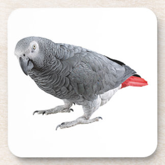 "African grey" design square coasters