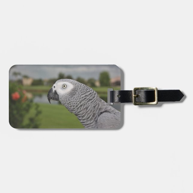African Grey Lakeside Luggage Tag (Front Horizontal)