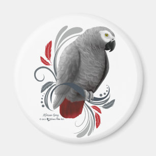 African Grey Magnet