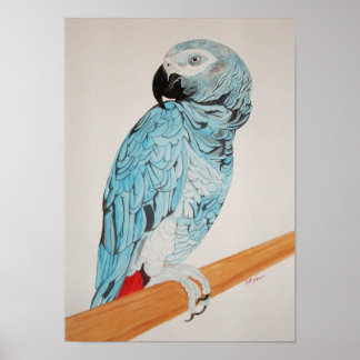 African Grey Painting Poster