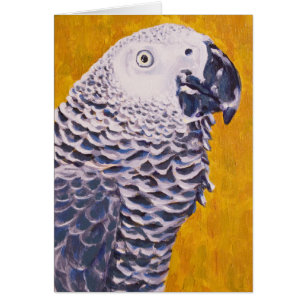 African Grey Parrot