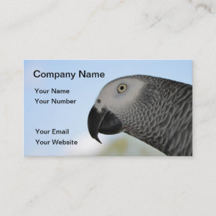 African Grey Parrot Business Card