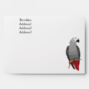 African grey parrot cartoon illustration envelope