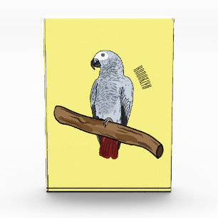 African grey parrot cartoon illustration photo block