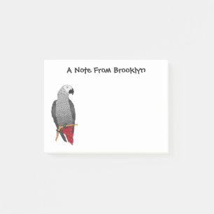 African grey parrot cartoon illustration  post-it notes