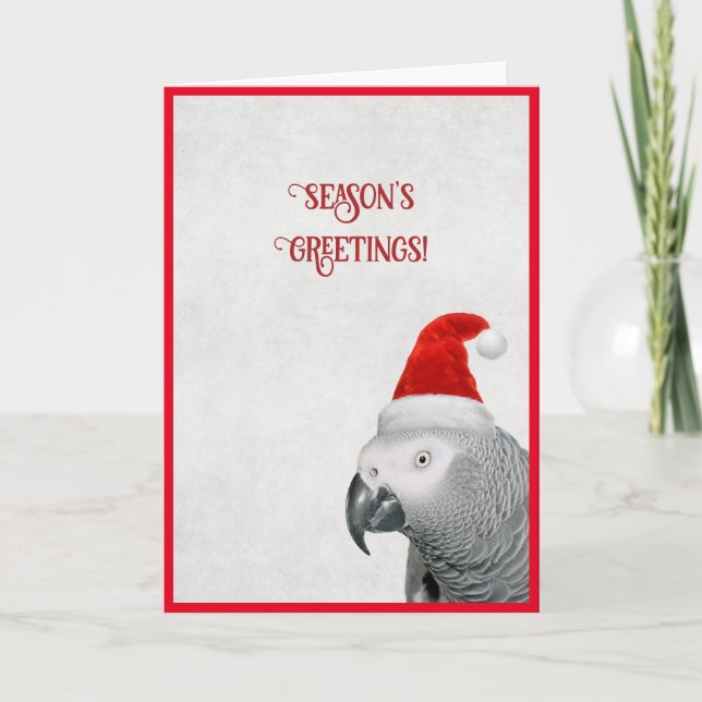 African Grey Parrot Christmas Card (Front)