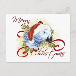 African Grey Parrot Christmas Postcards